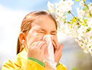 Вясновая алергія